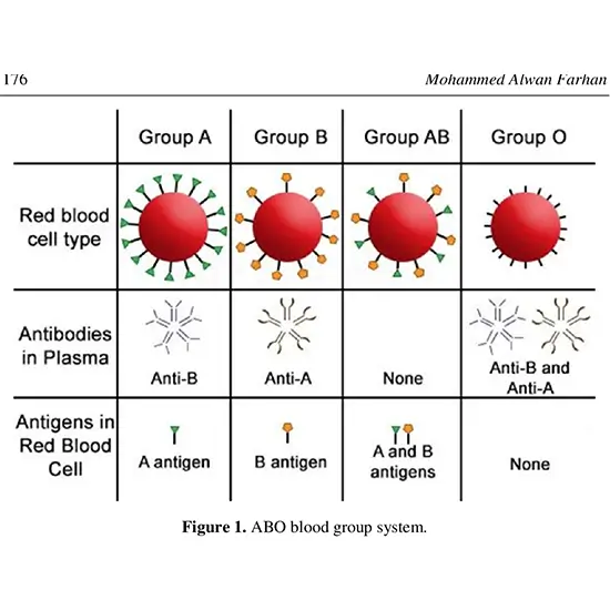 blood grouping (abo) and rh factor